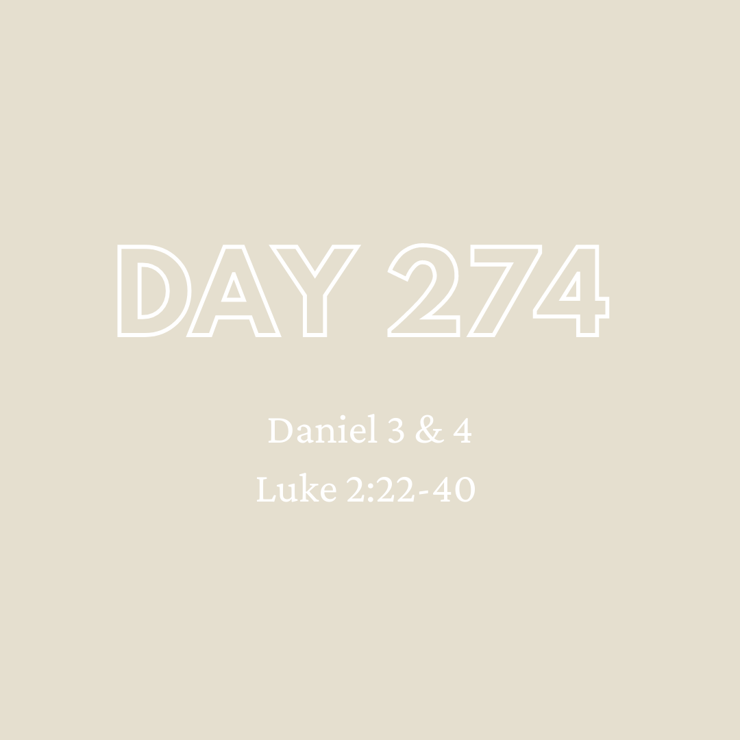 Daily Devotion - Day 274