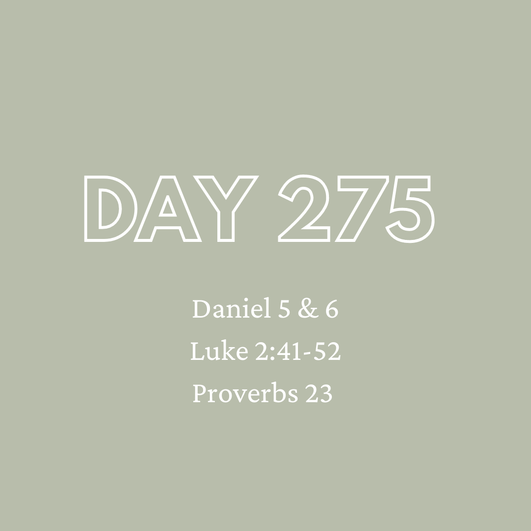 Daily Devotion - Day 275
