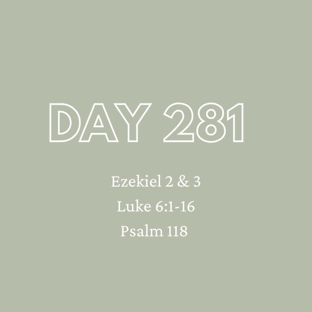 Daily Devotion - Day 281