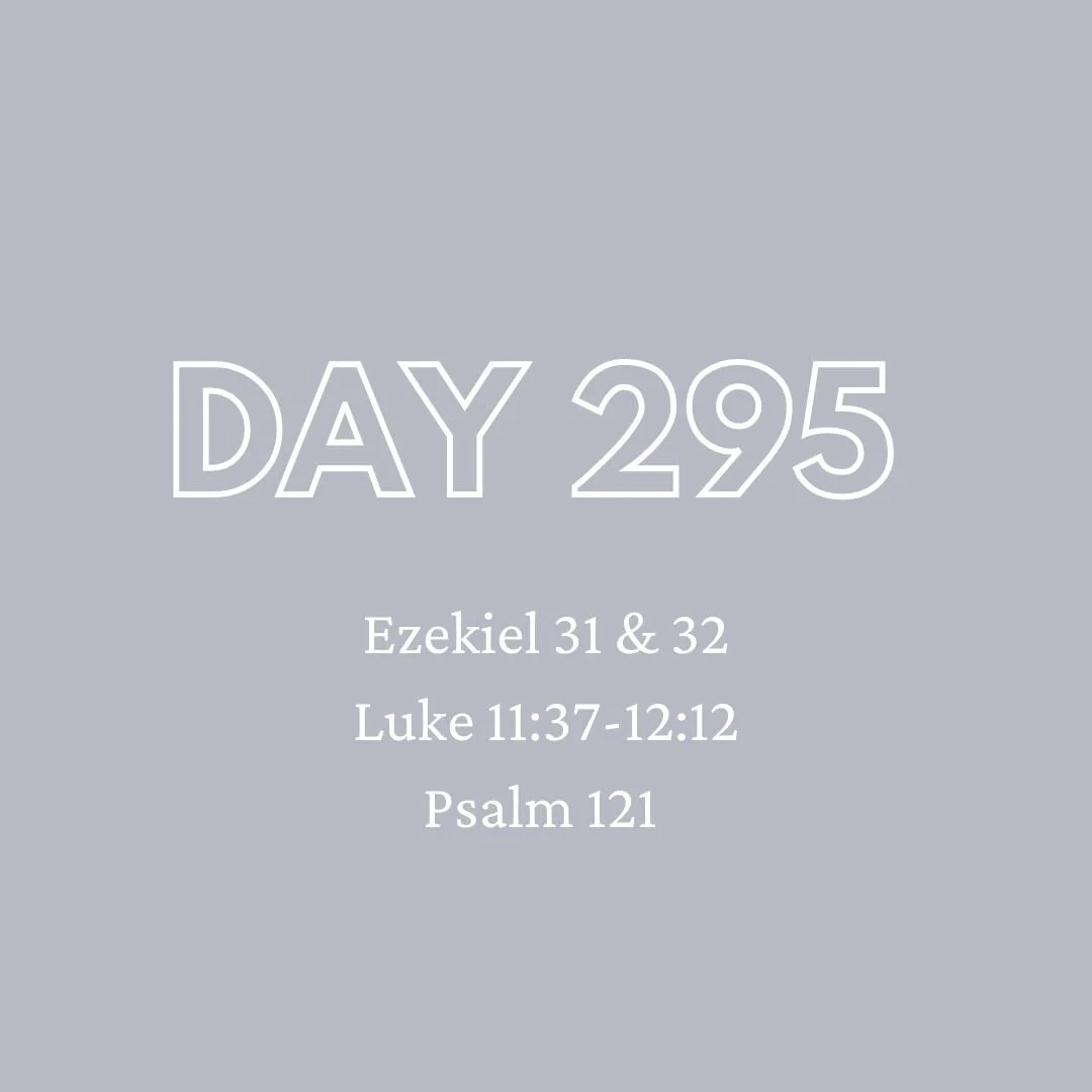 Daily Devotion - Day 295