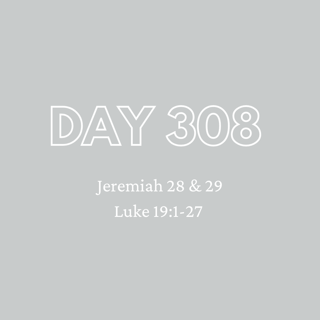 Daily Devotion - Day 308