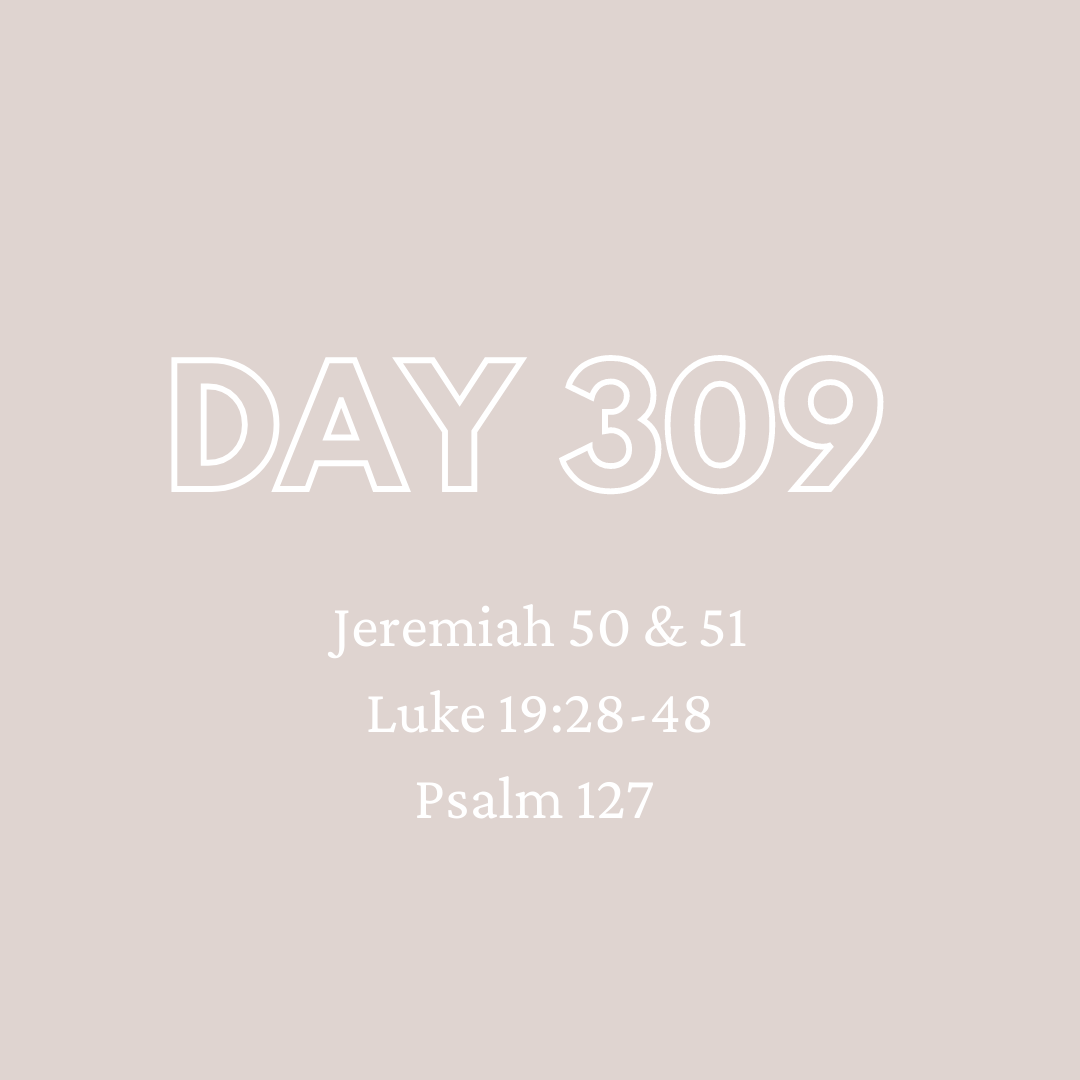 Daily Devotion - Day 309