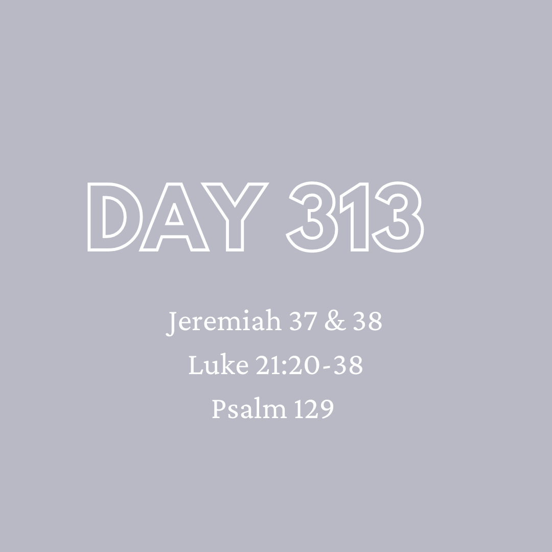 Daily Devotion - Day 313