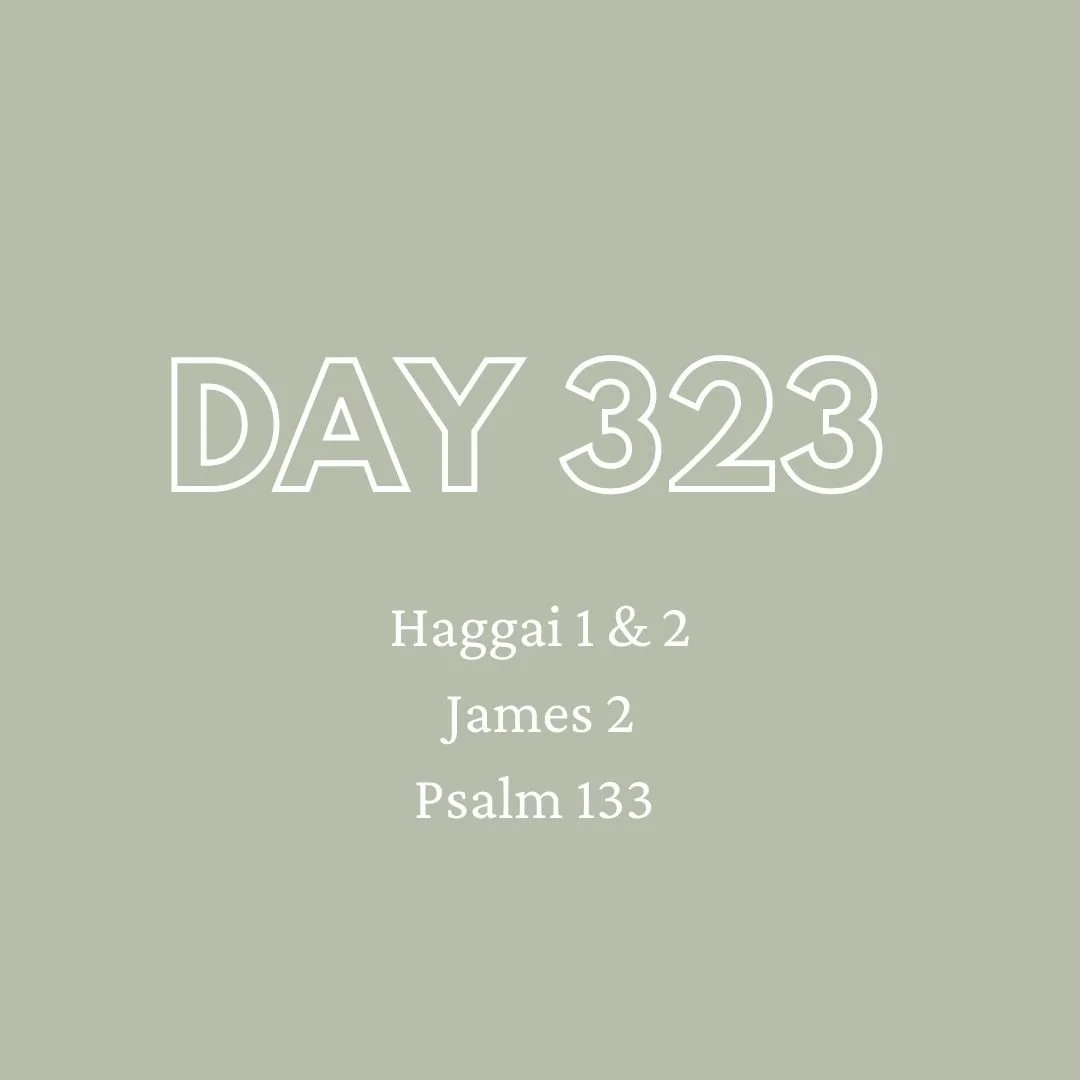 Daily Devotion - Day 323