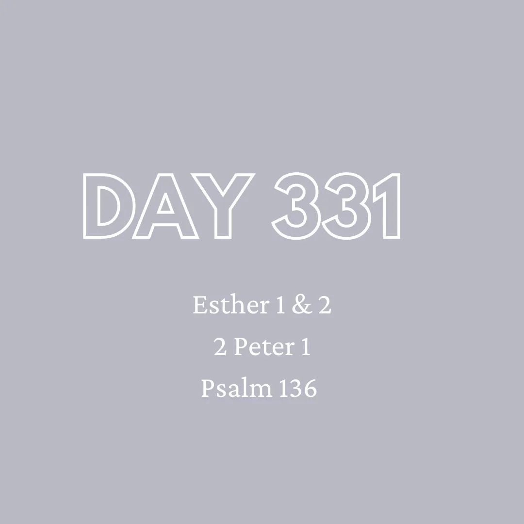 Daily Devotion - Day 331