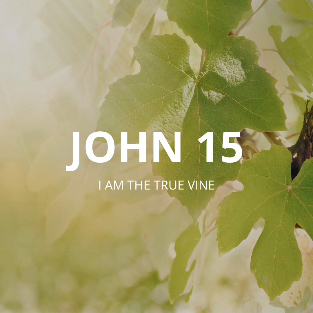 John 15 - I Am The True Vine — Lincoln Baptist Church