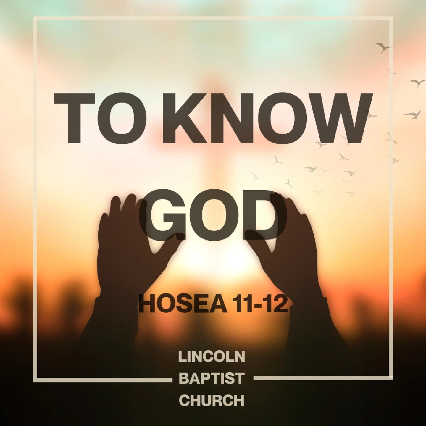 We had a wonderful morning of worship, prayer, teaching and fellowship on Sunday.  If you missed this week's sermon on Hosea 11-12 brought to us by our Pastor, Daniel, don't worry! You can catch up on it by visiting our website, SoundCloud or Spotify