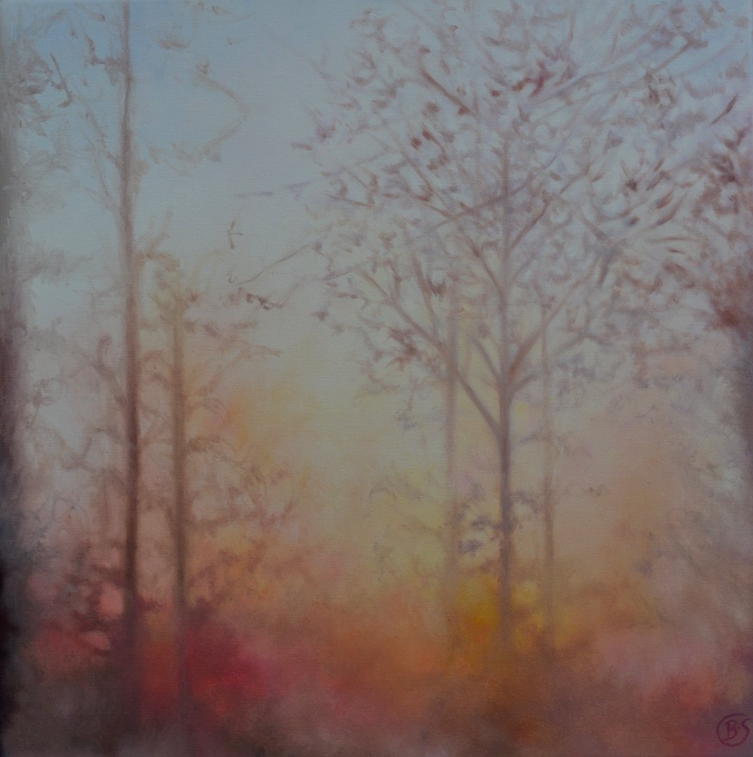 Rose Light in The Forest