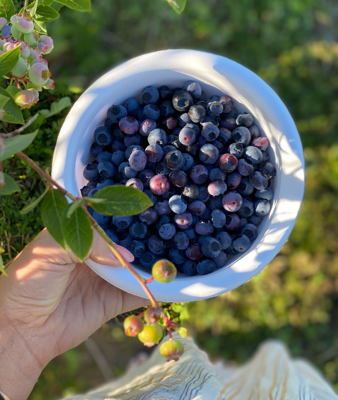 The Bouquet Farm