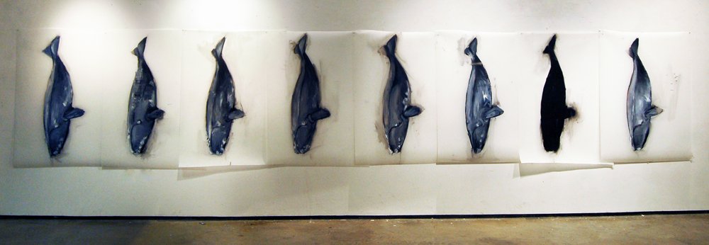 "Whale Drawings" from Sketches