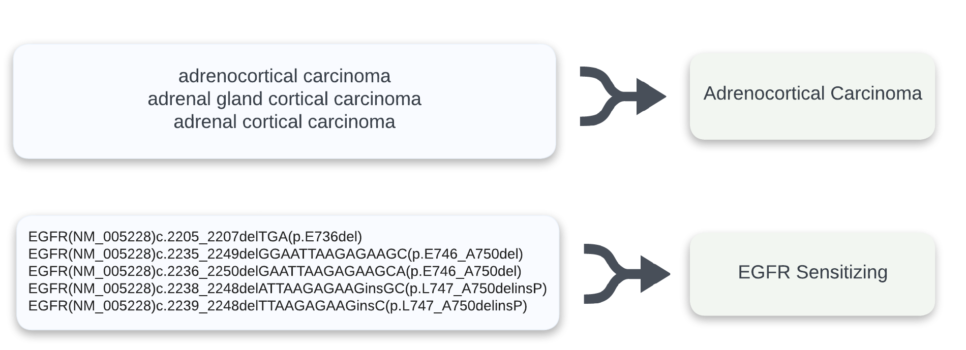 Frameshift Molecular Tumor Profile System