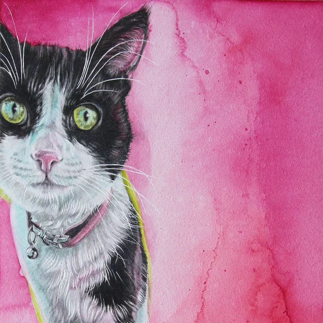 A collection of my cat paintings. I do love painting sweet kitties. If you have a feline friend you'd love a portrait of, send me a DM or check out my website for more information.&nbsp;cindytobey.com/custompaintings