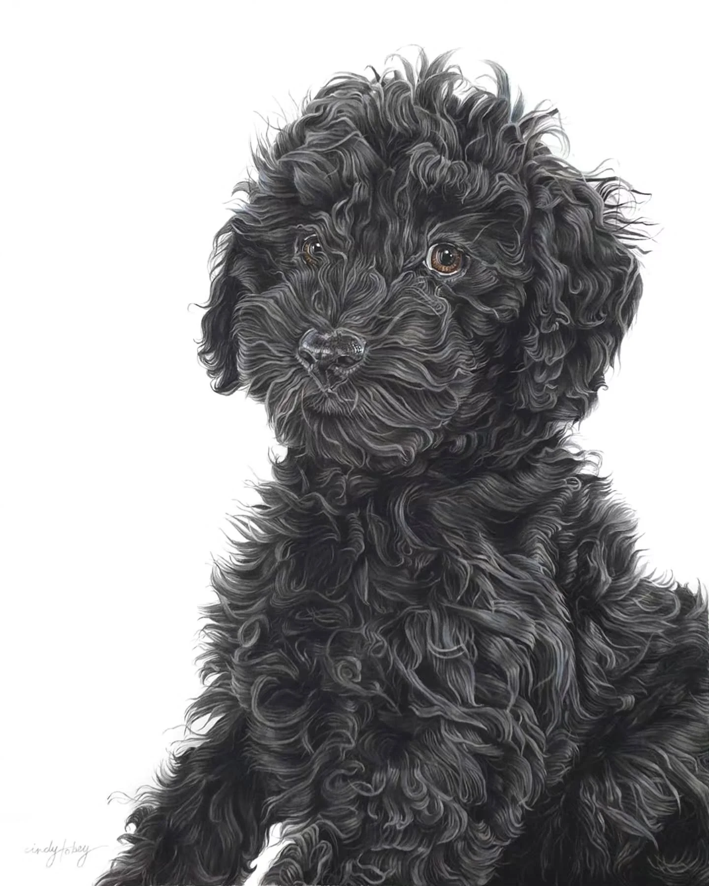 A recent pet portrait, commissioned by a collector as a companion piece, to a portrait I painted a few years ago of this sweet pup's older sister. This was commissioned as a gift for my collector's wife. I just love when paintings are a surprise gift