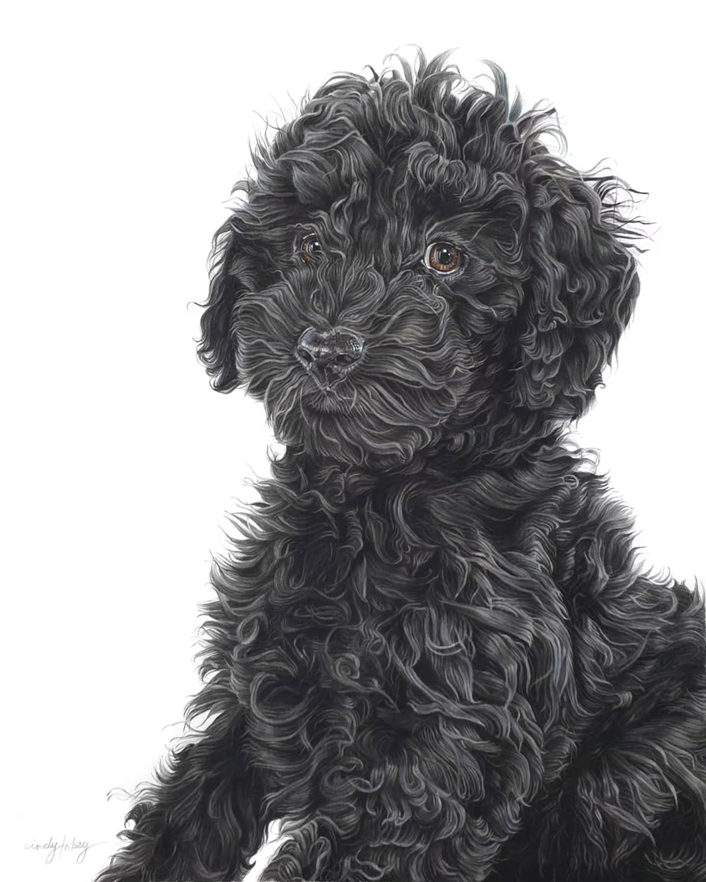 A recent pet portrait, commissioned by a collector as a companion piece, to a portrait I painted a few years ago of this sweet pup's older sister. This was commissioned as a gift for my collector's wife. I just love when paintings are a surprise gift