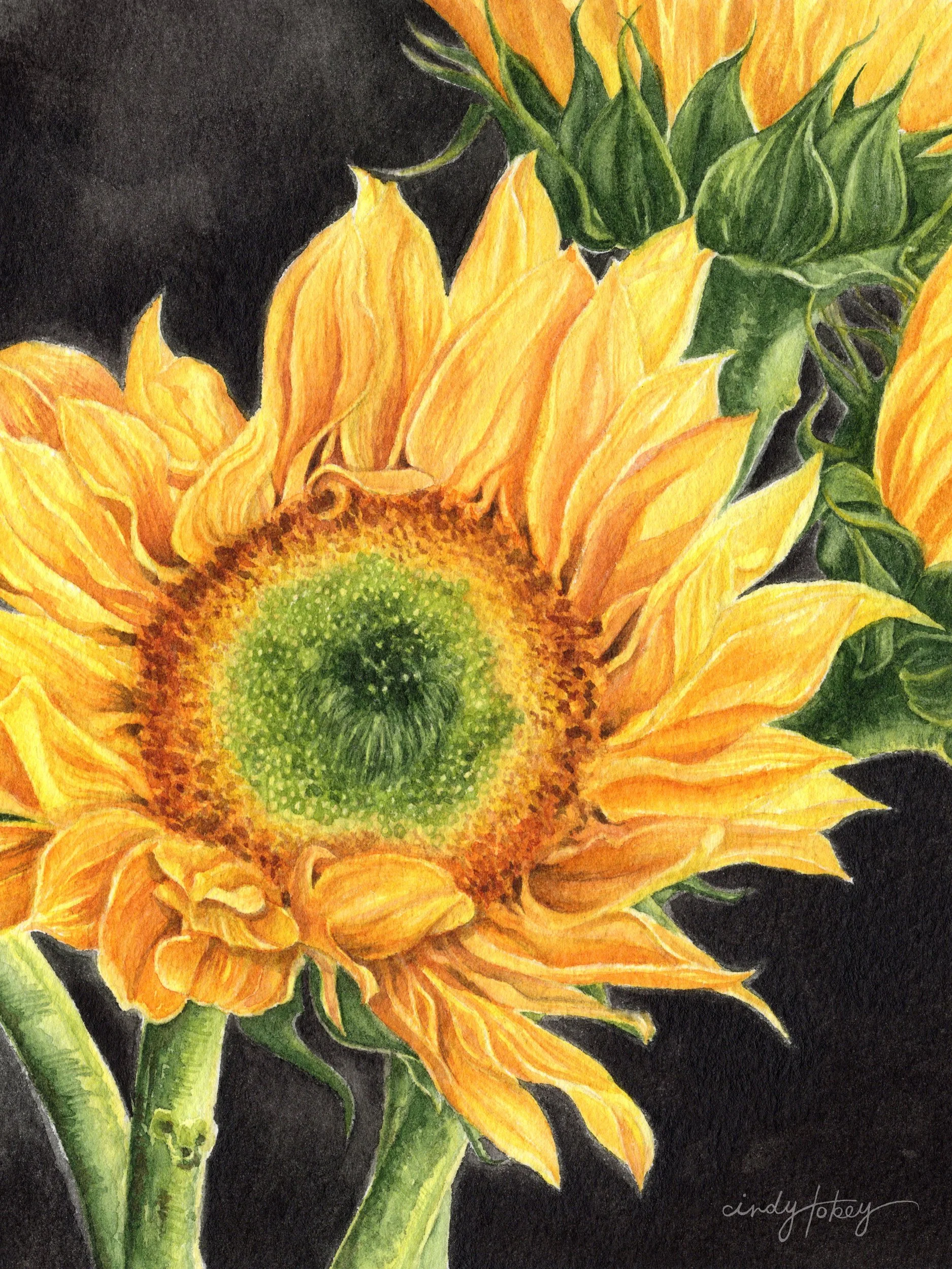 HomeBannerSunflower3x4.jpg