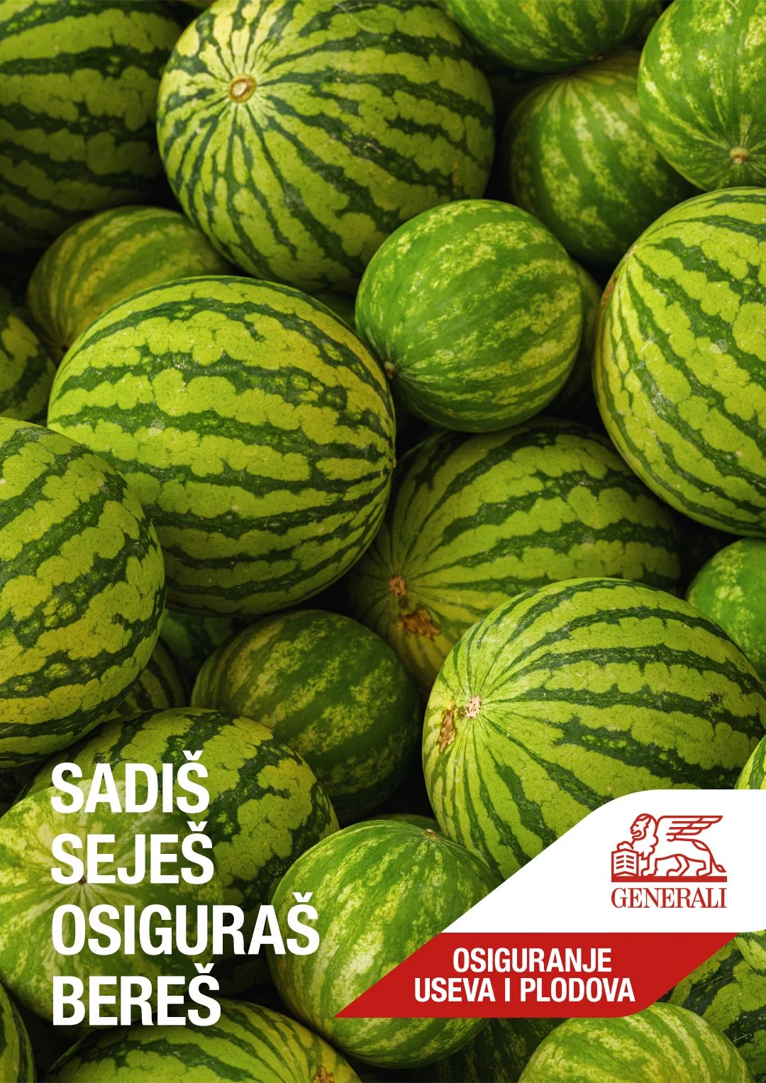 agro04.jpg