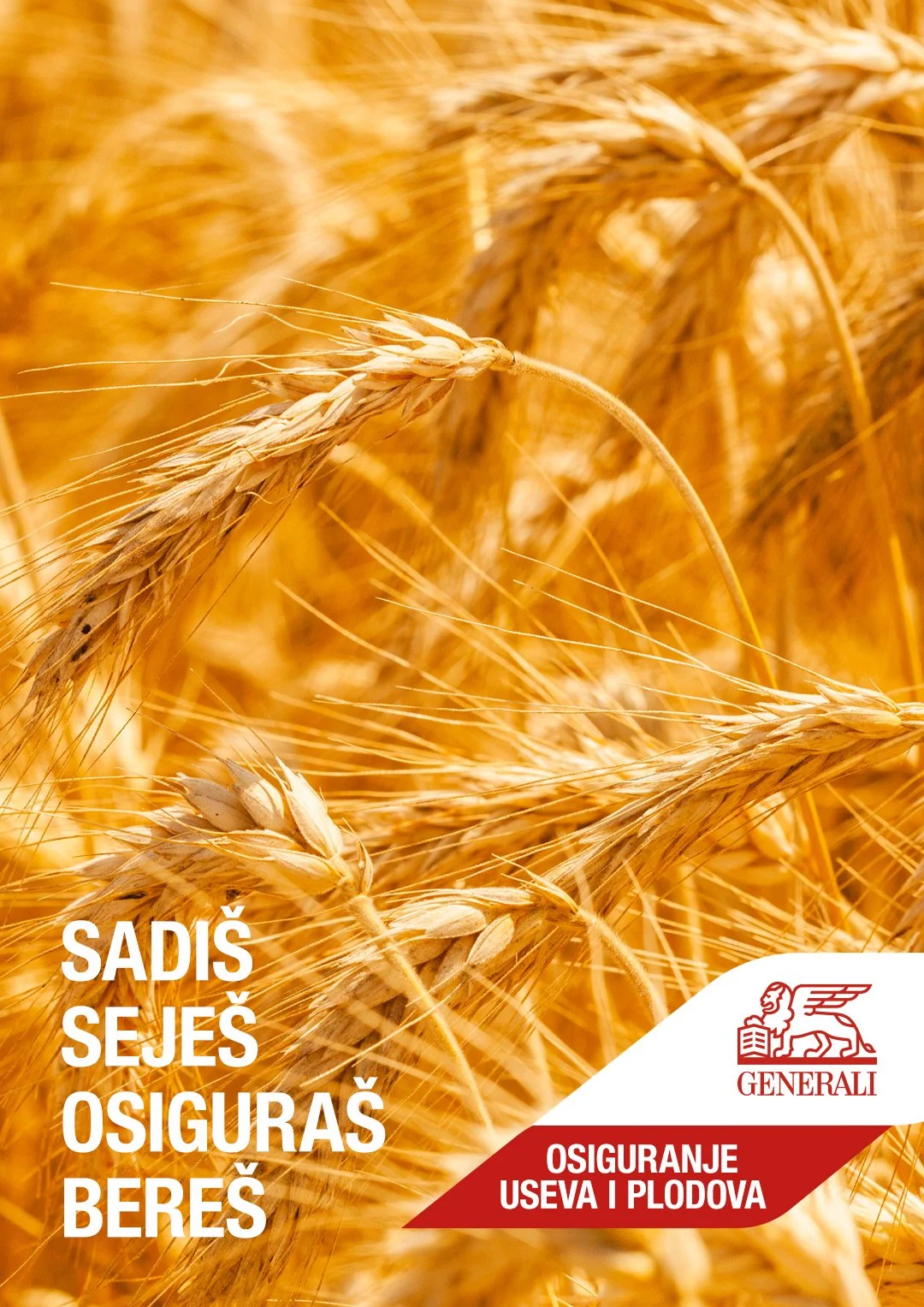 agro06.jpg