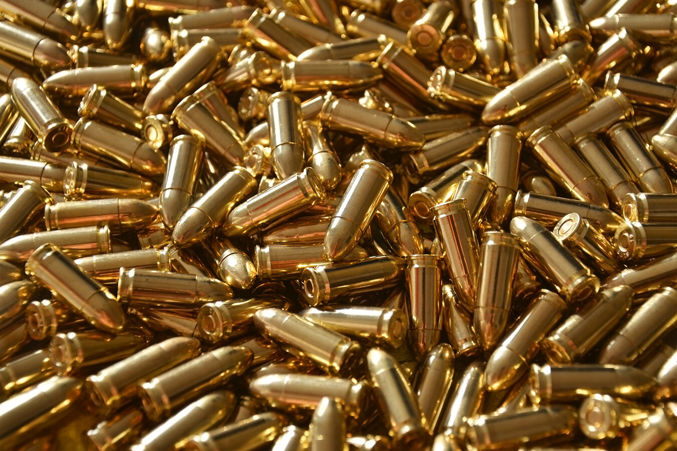 Private Training With Ammo Provided