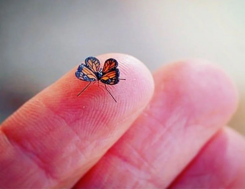 Little or big. 🦋 

&ldquo;Take to Him everything that perplexes the mind. Nothing is too great for Him to bear, for He holds up worlds, He rules over all the affairs of the universe. Nothing that in any way concerns our peace is too small for Him to
