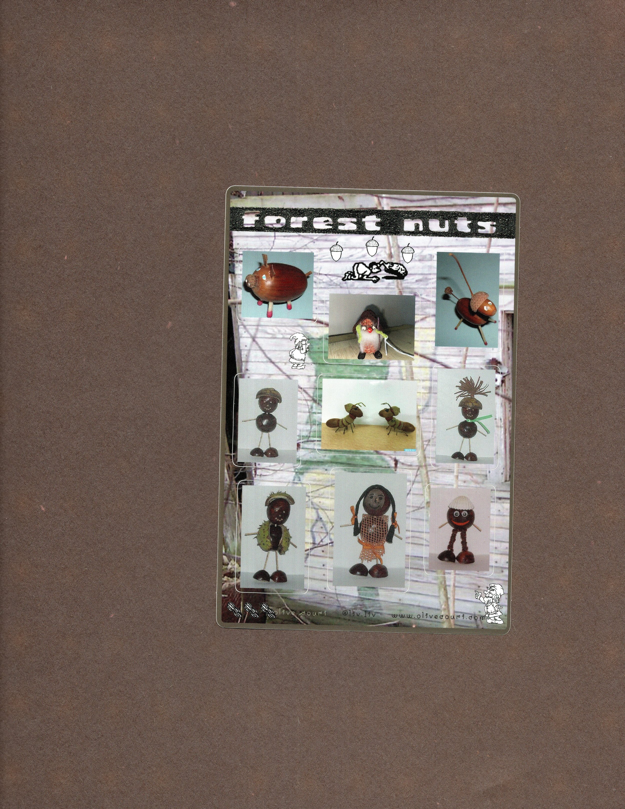 forest nuts scan1.JPG