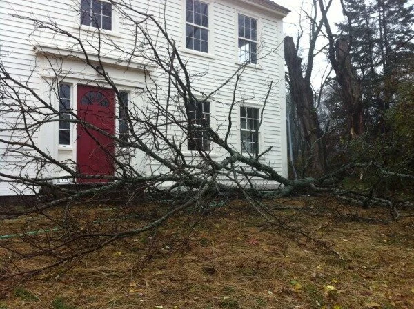 Timber! Hurricane Sandy Strikes Home (October 29, 2012)