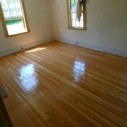 Golden Seal (May 20, 2012)