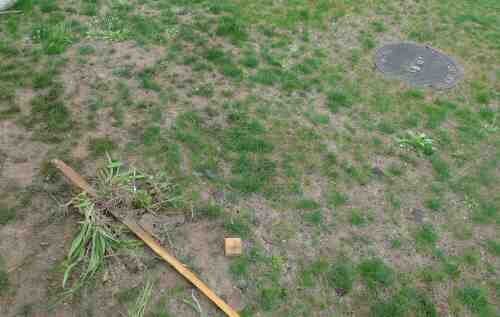 Weed, Seed &amp; Feed (April 22, 2012)  