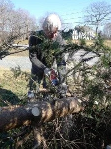 Oh, Tannenbaum (March 11, 2012)