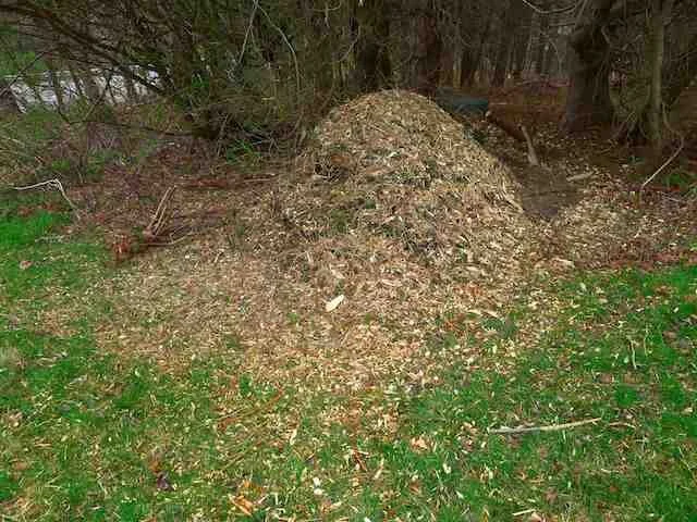 Green 4-Evah (March 28, 2012)  