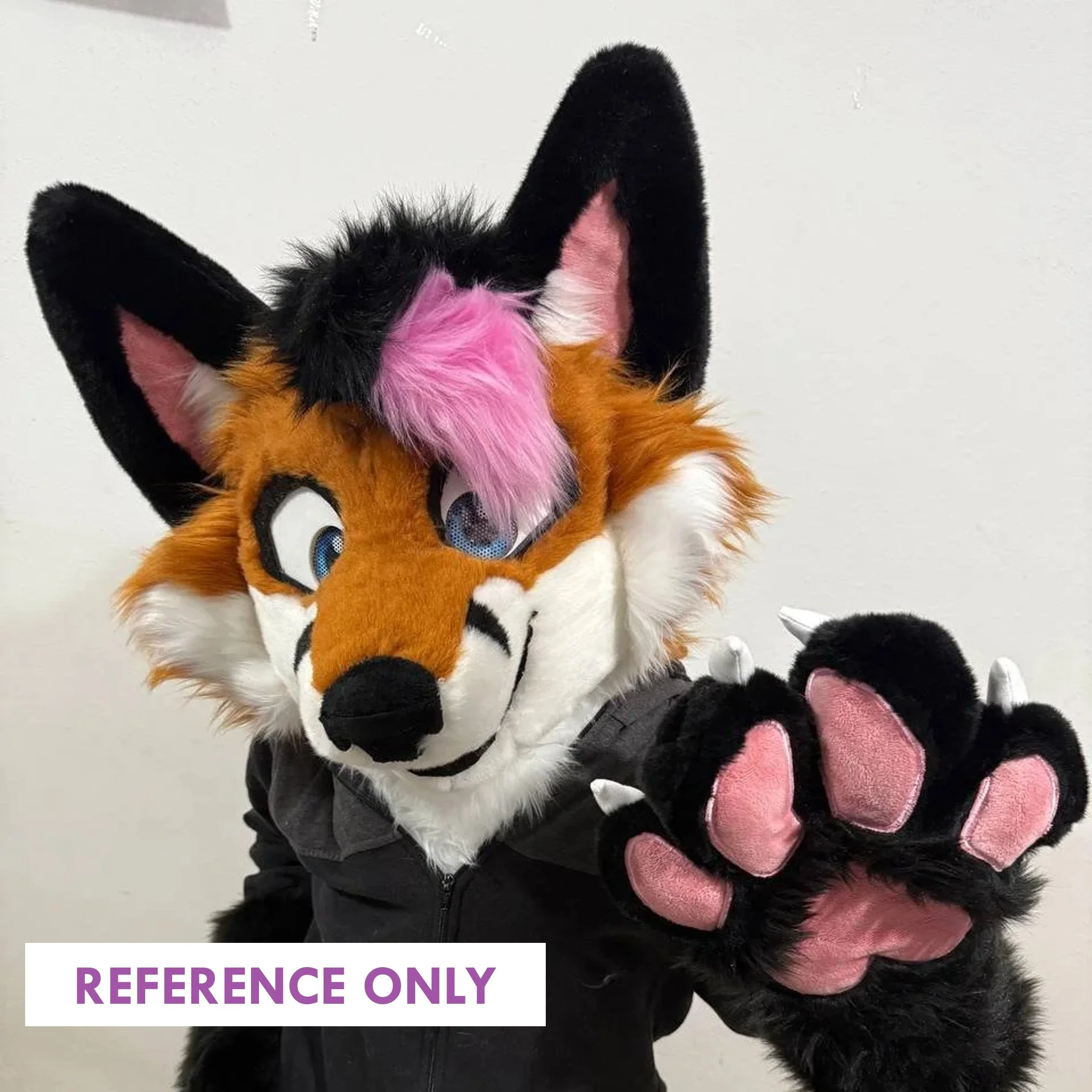 ReferenceOnly2.jpg