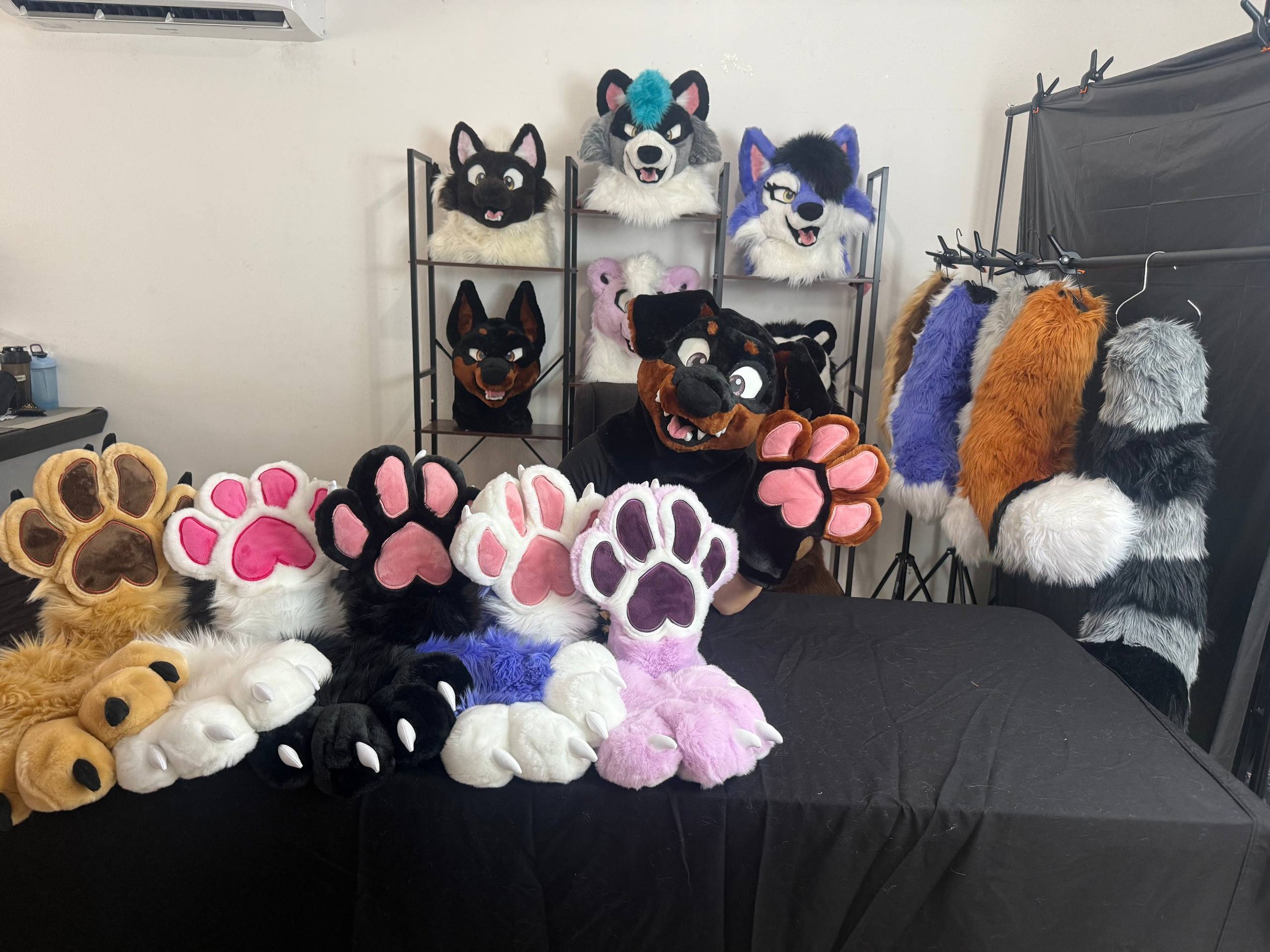 PinuStudios New Setup.jpg