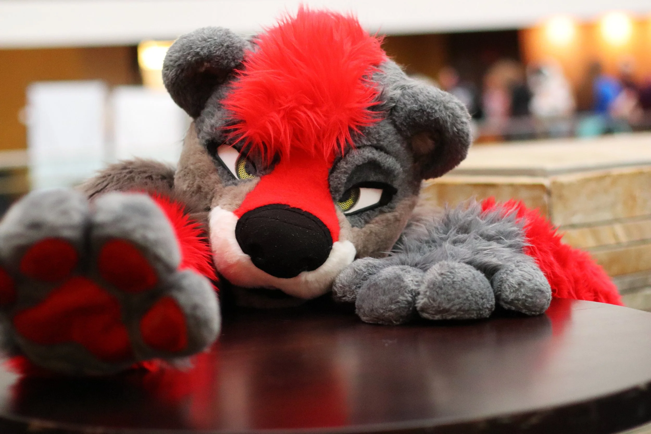 PinuMFF2025_8 (1).JPG