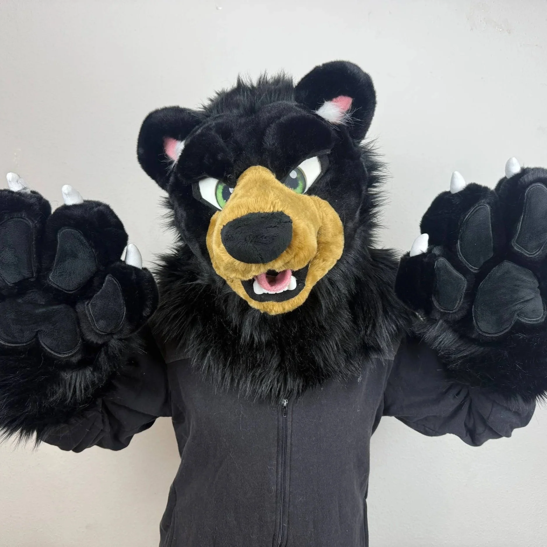 Bear Premade