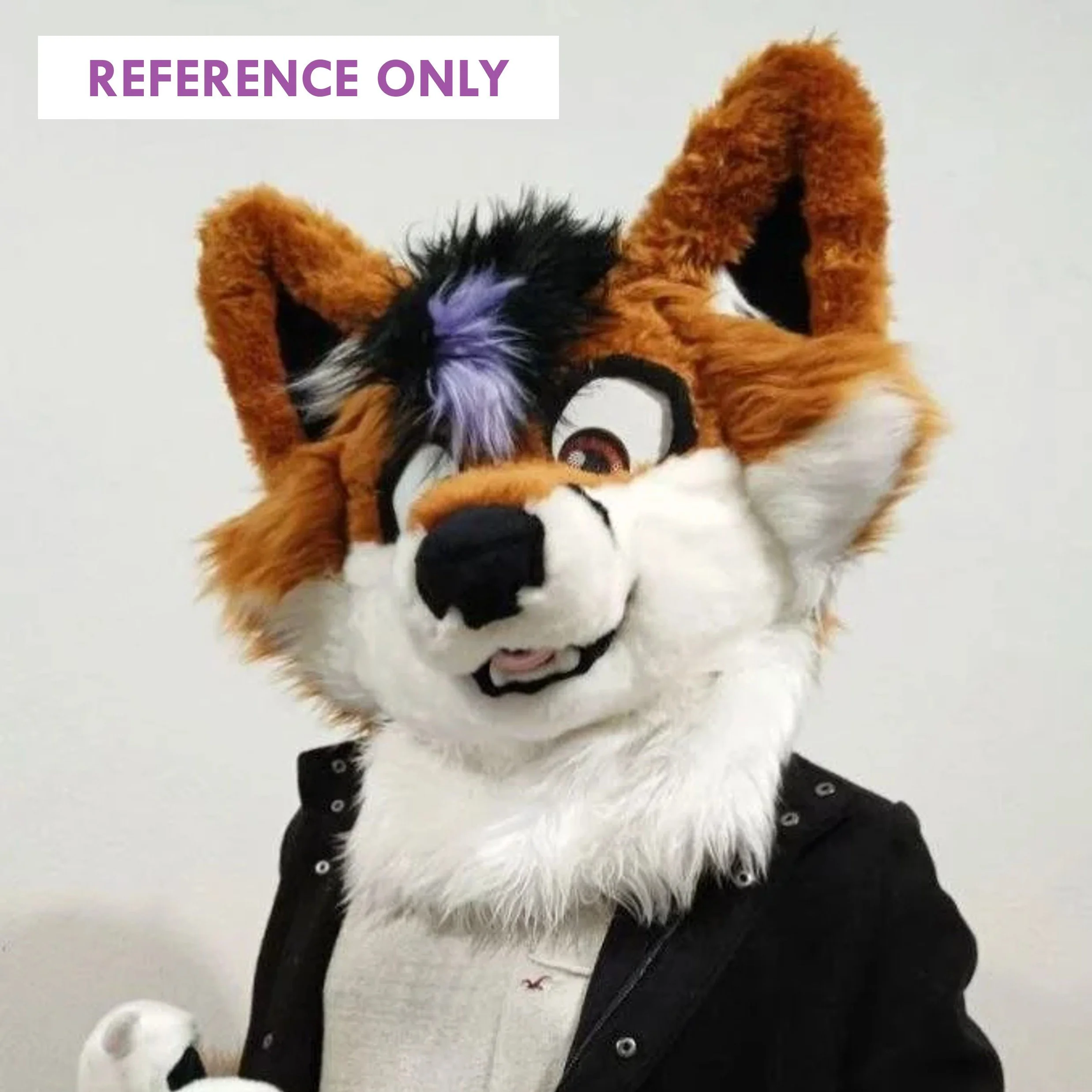 ReferenceOnly3.jpg