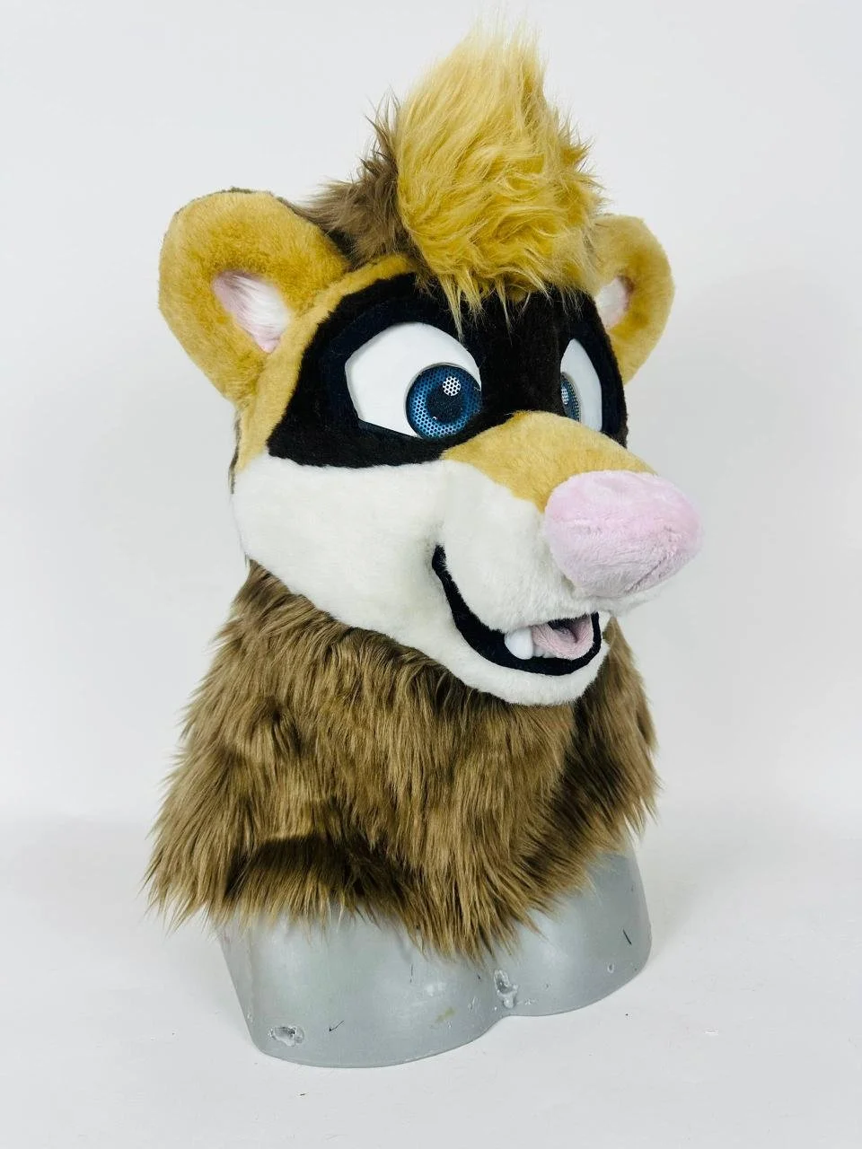 photo_2026-02-12 09.31.33.jpeg