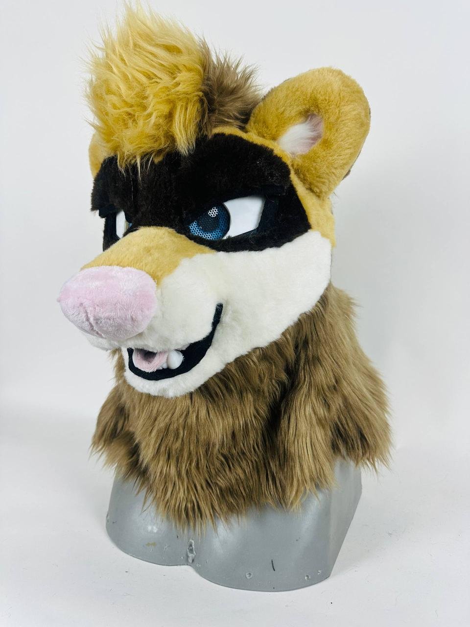 photo_2026-02-12 09.31.31.jpeg