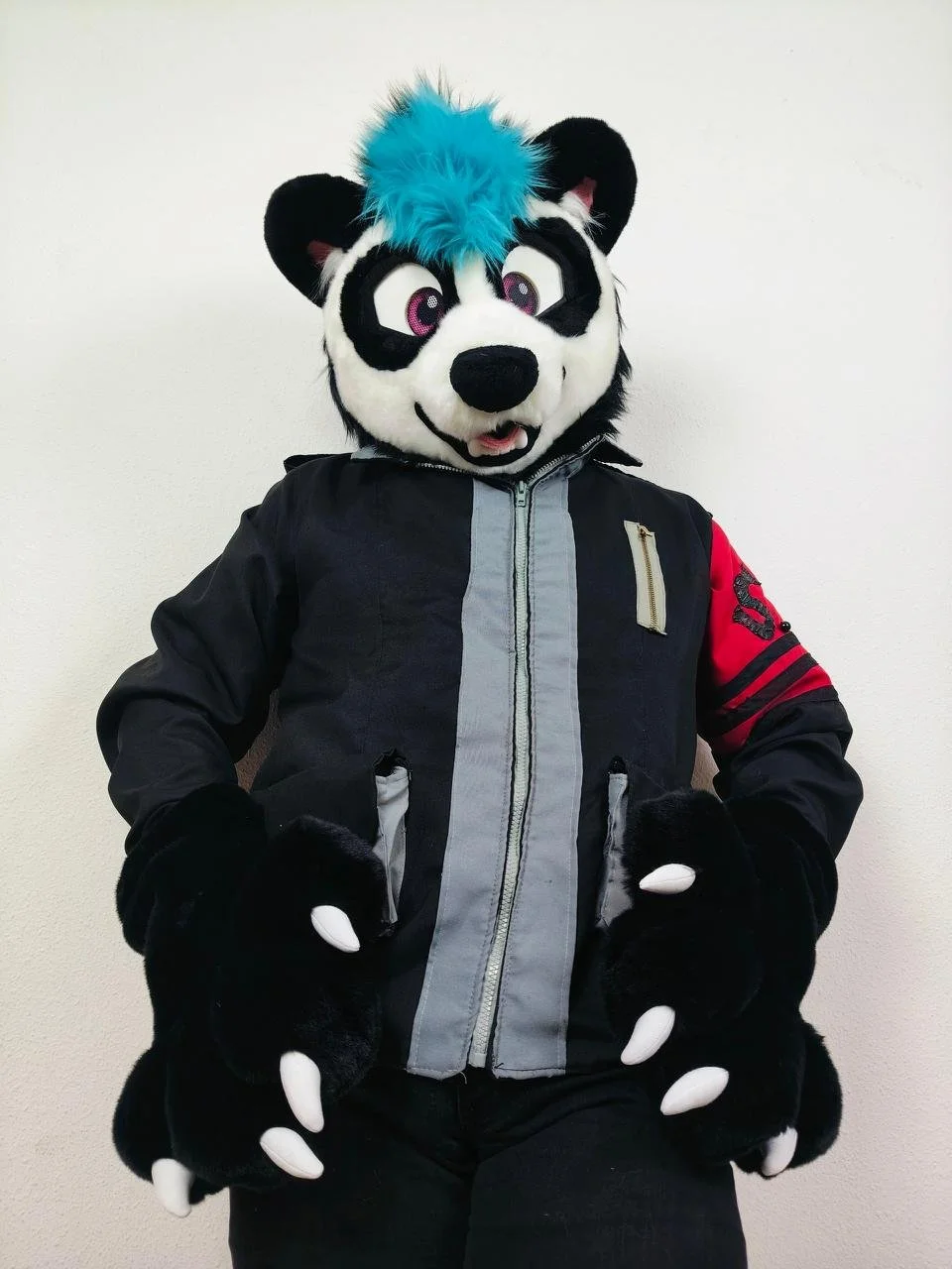 panda5.jpg