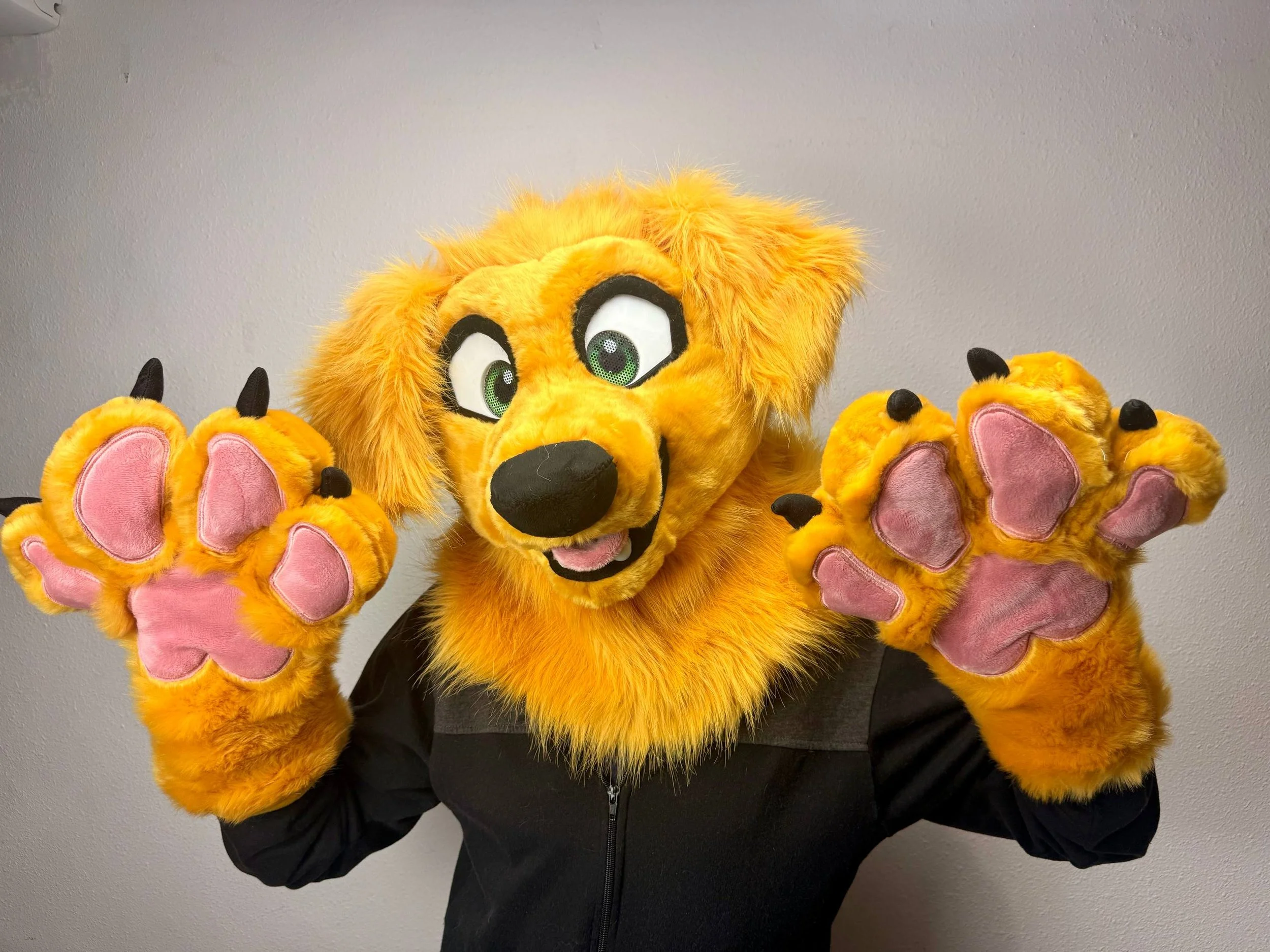 Golden Retriever PRESALE