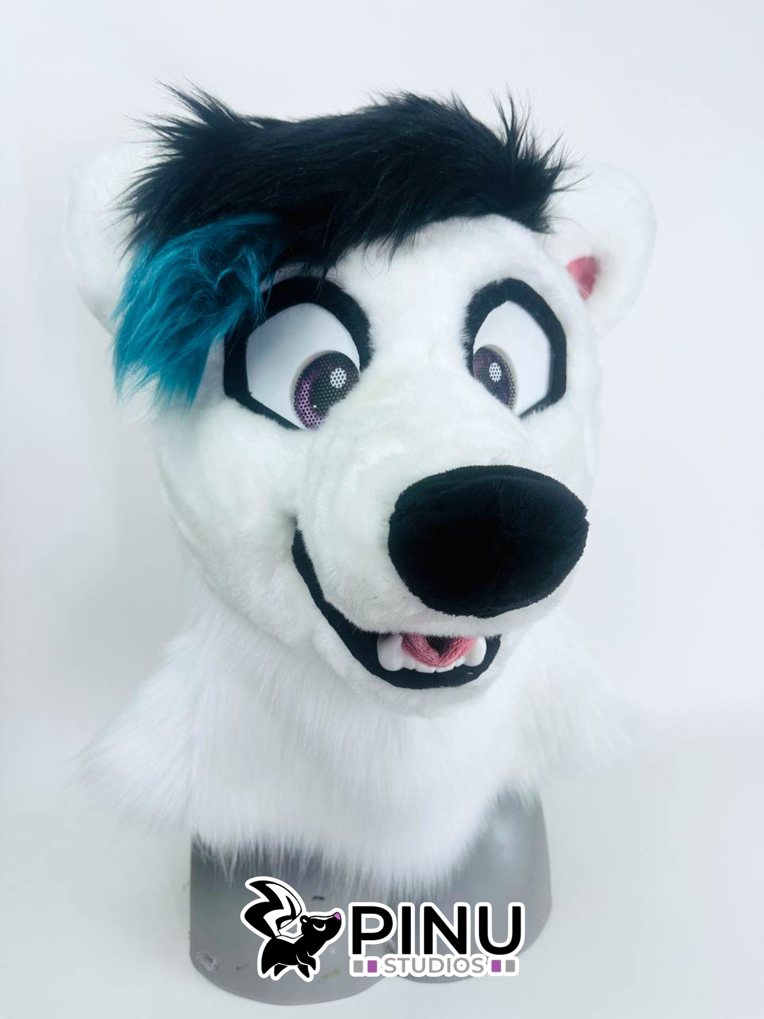 Polar3.jpg
