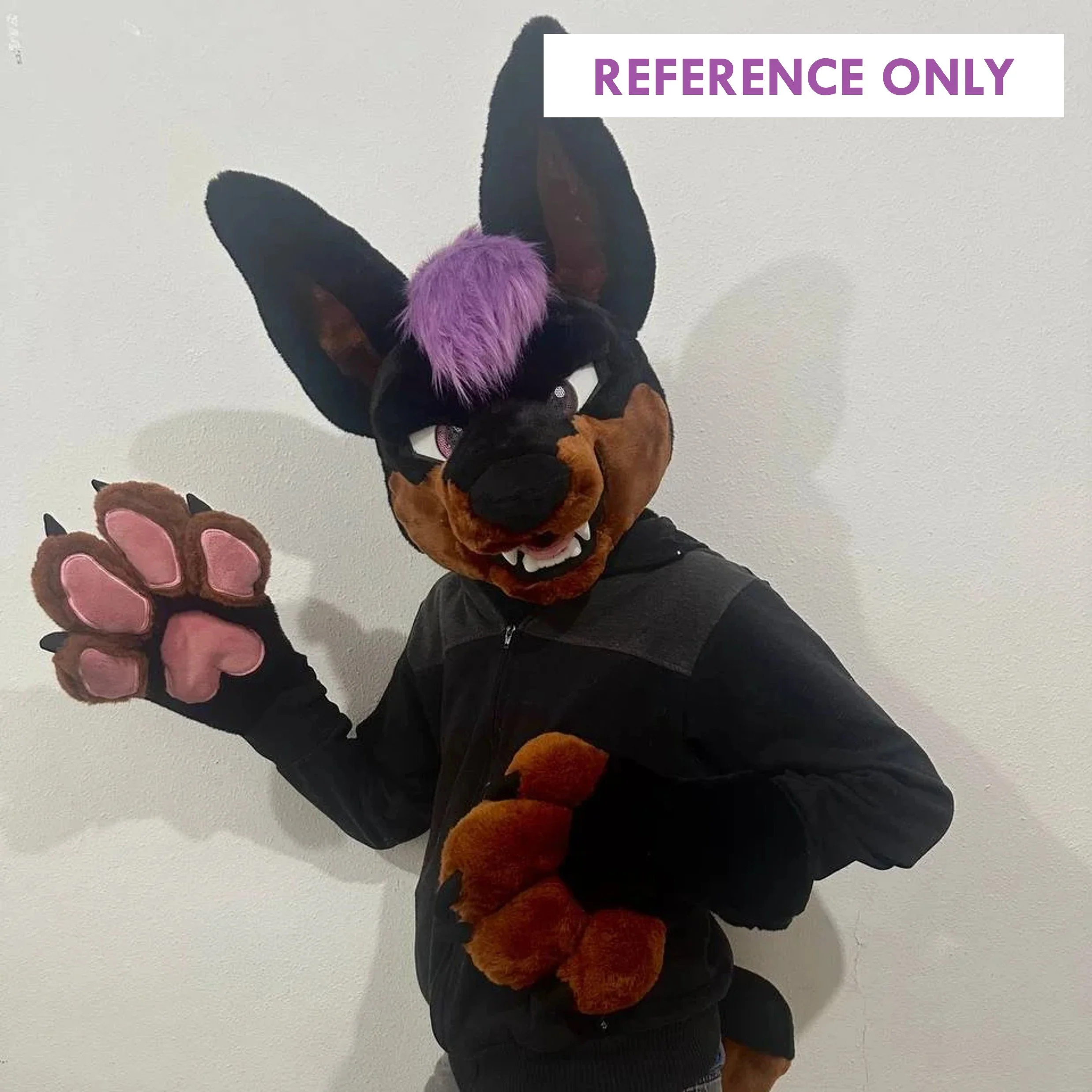 ReferenceOnly4.jpg