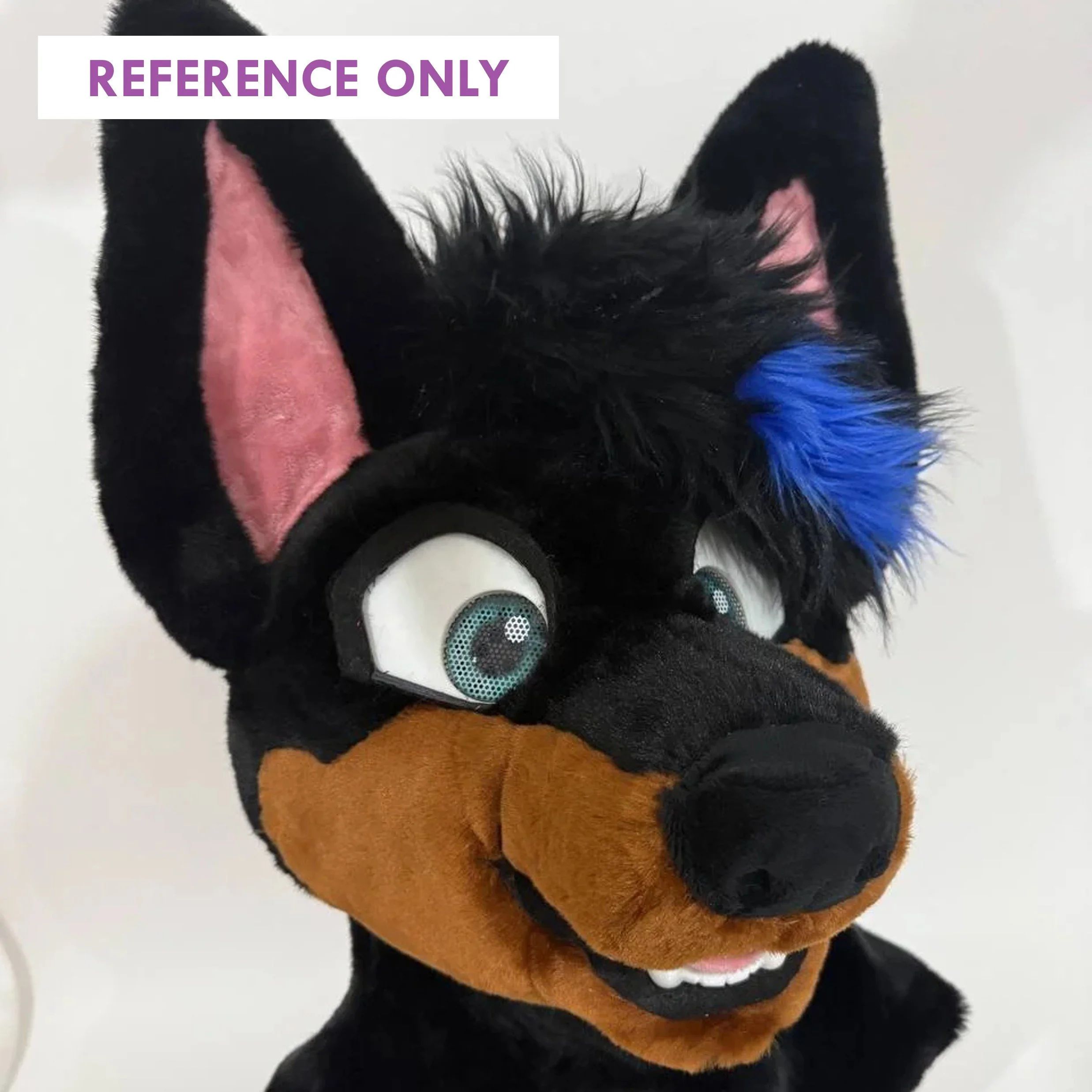 ReferenceOnly6.jpg