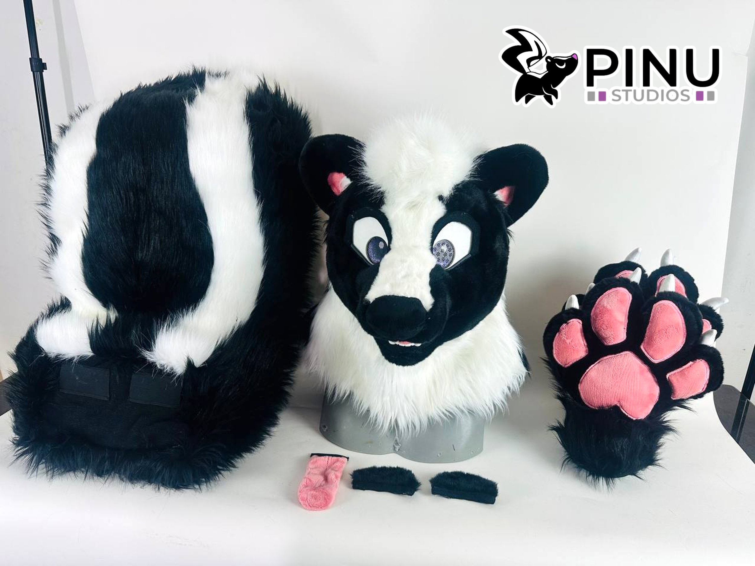 Skunk2_9.jpg