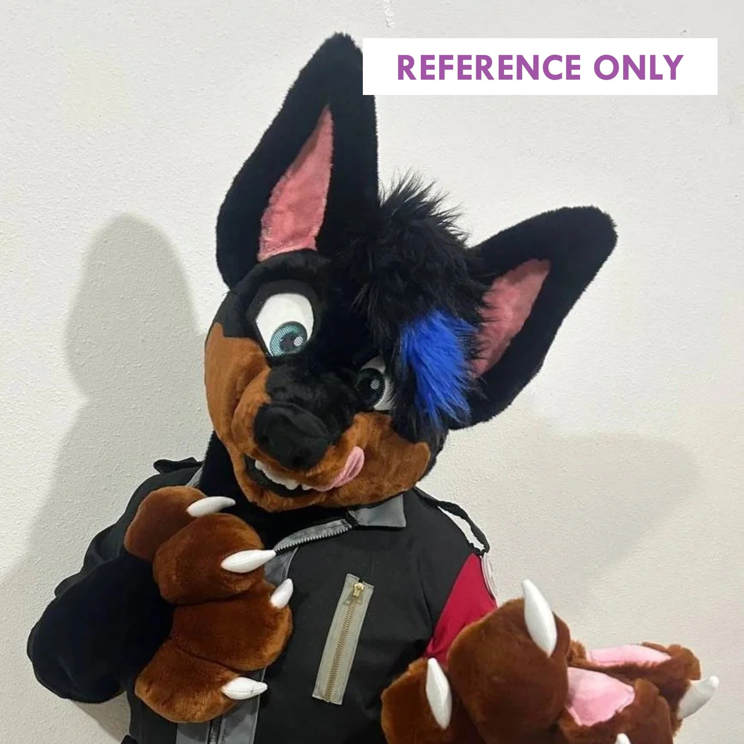 ReferenceOnly5.jpg