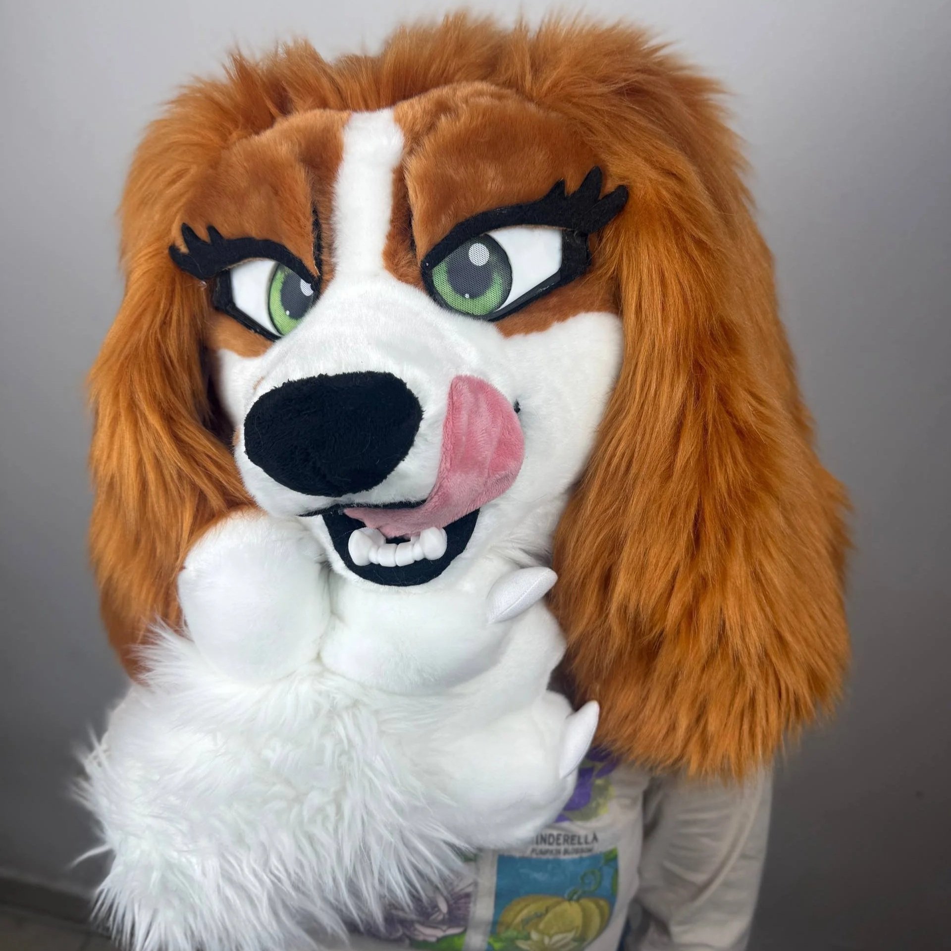 Cocker Spaniel Premade