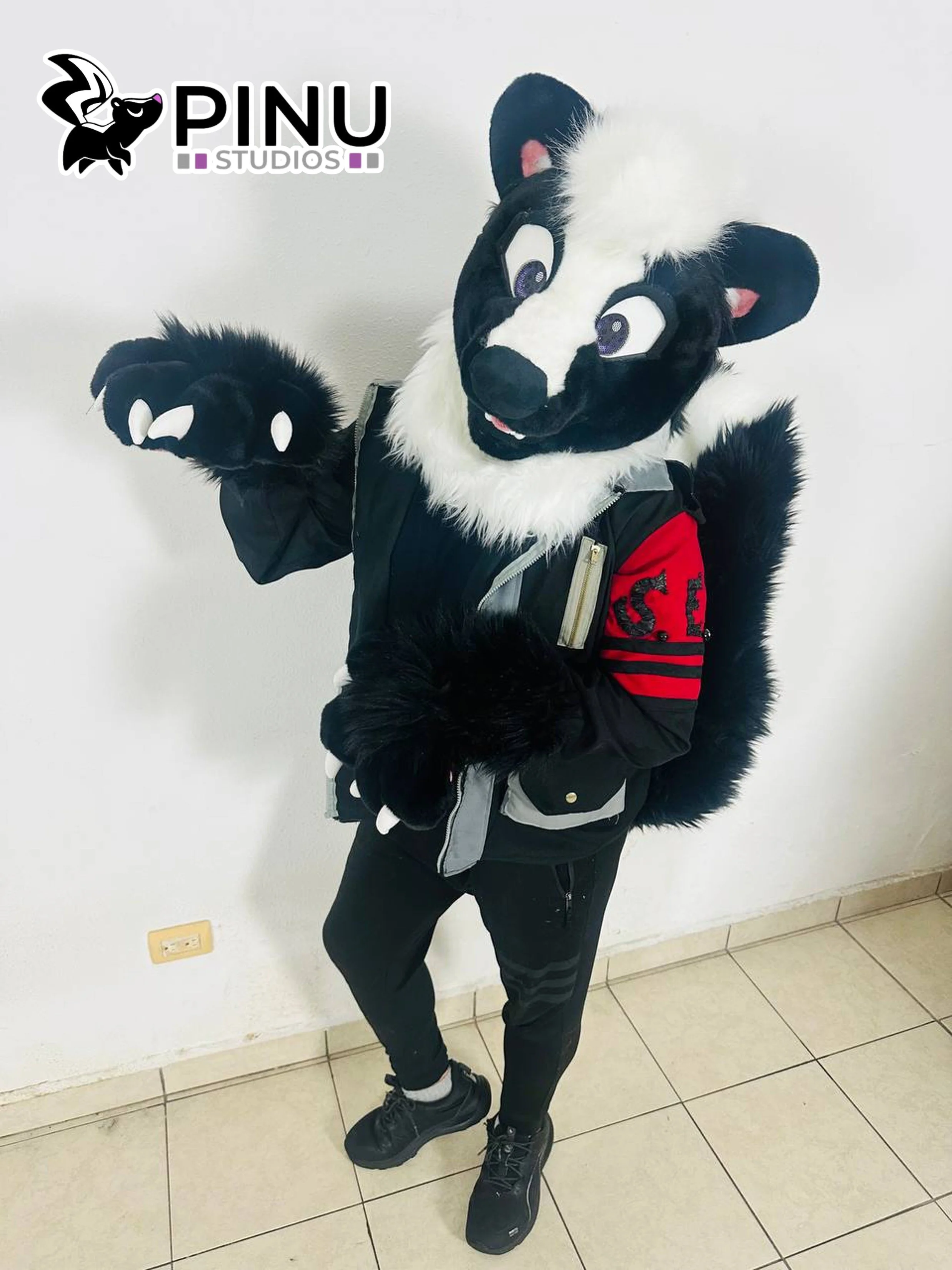 Skunk2_8.jpg