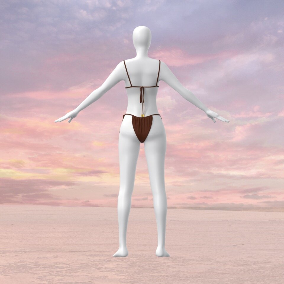 Suit 4 Brown back.jpeg