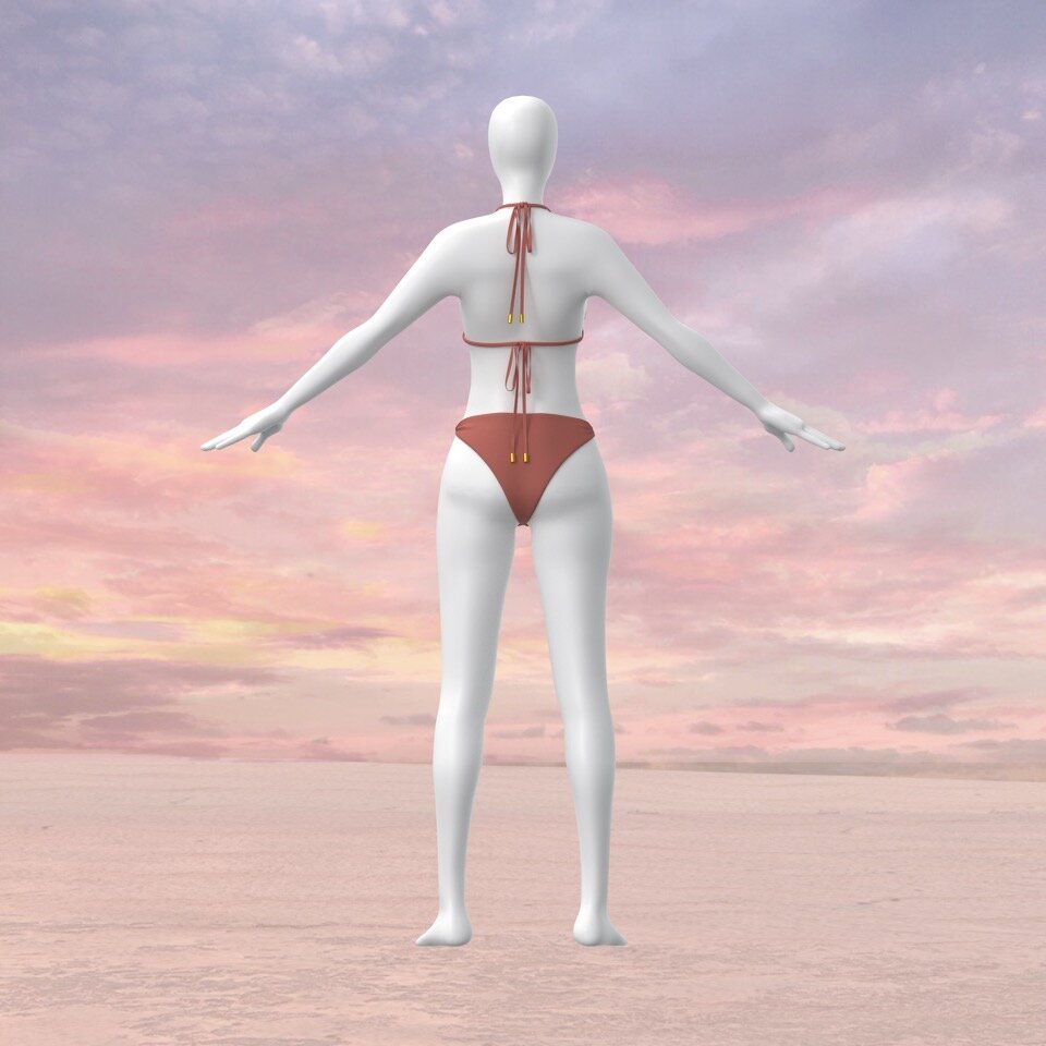 Suit 2 Pink back.jpeg