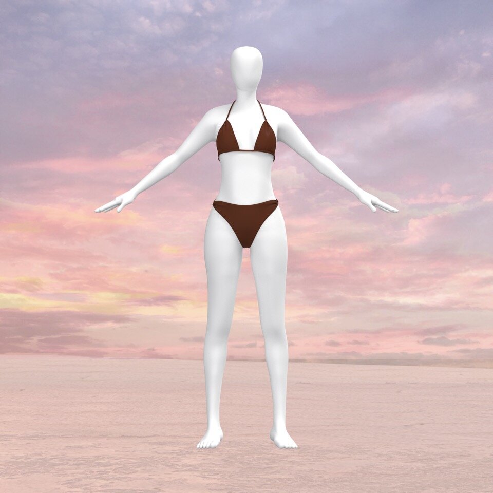 Suit 2 brown.jpeg