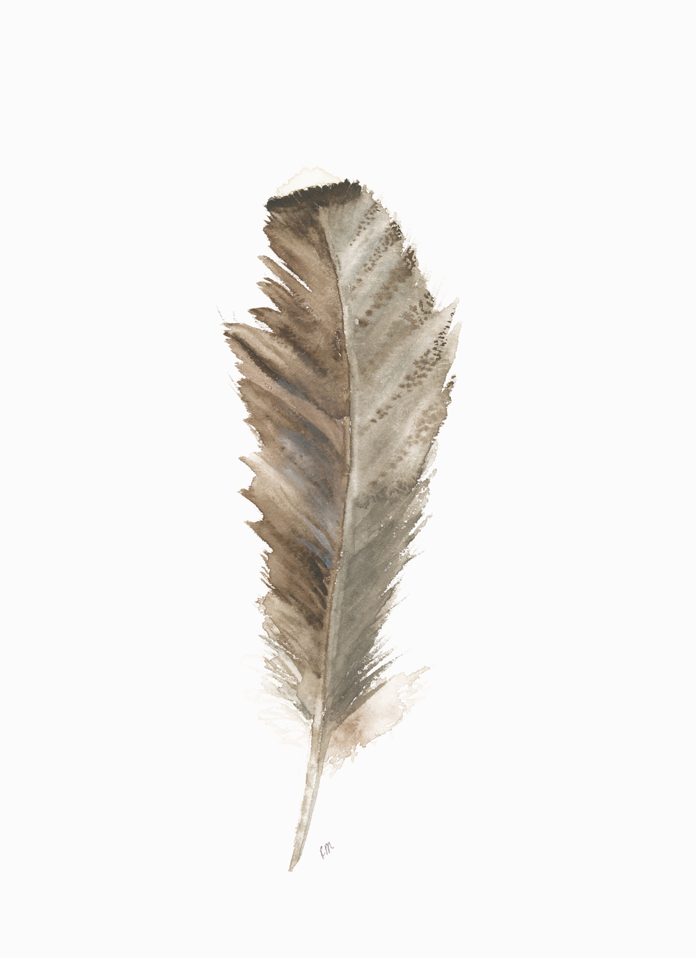 Watercolor Owl Feather
