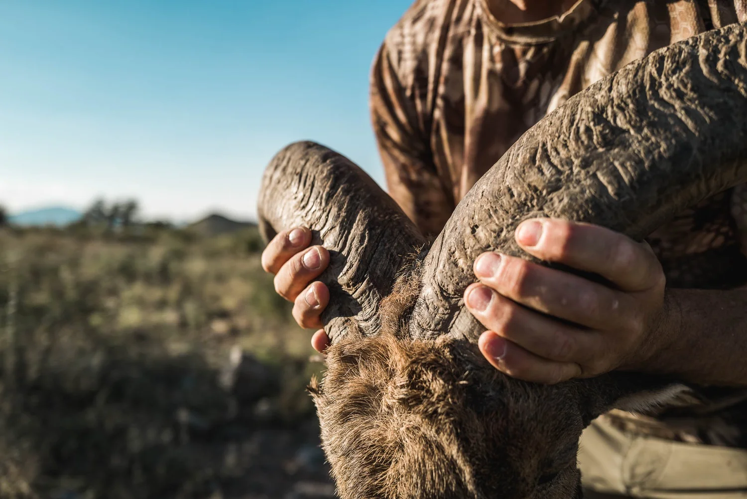 Aoudad: Hunting the Ghosts of West Texas Mountains